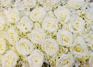 bouquet rose blanche